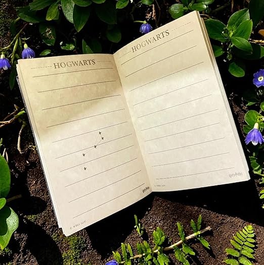 Harry Potter Diary (Vintage)